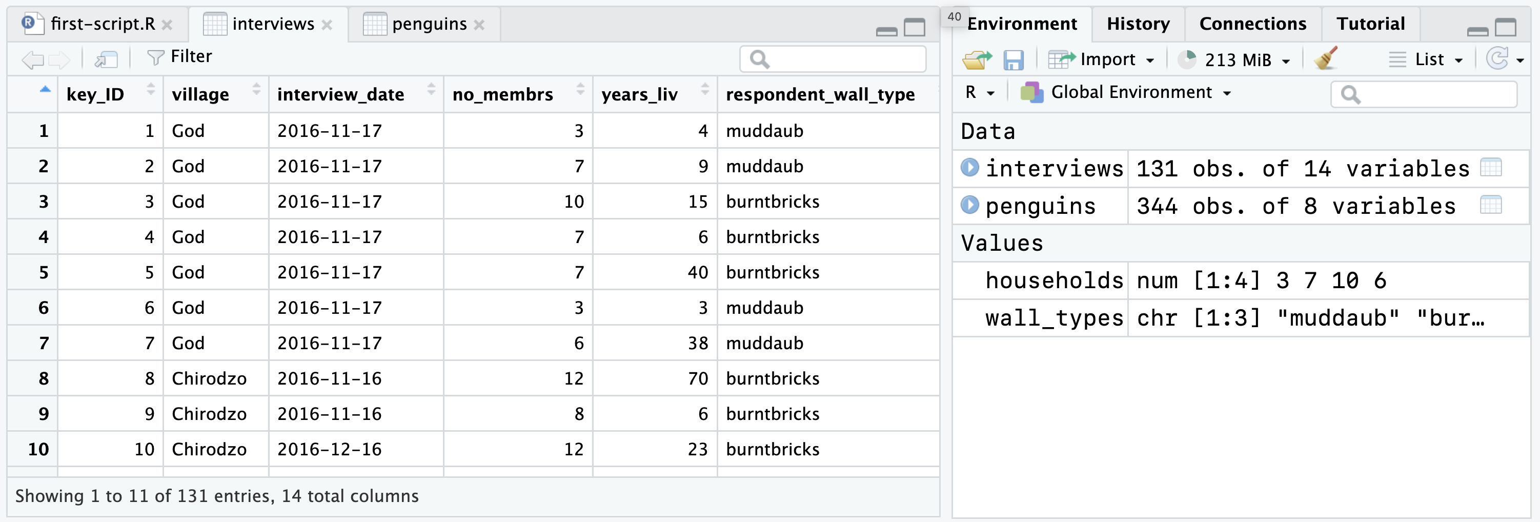 A screen shot of RStudio with a view of rectangular data on the left and the environment panel on the right.