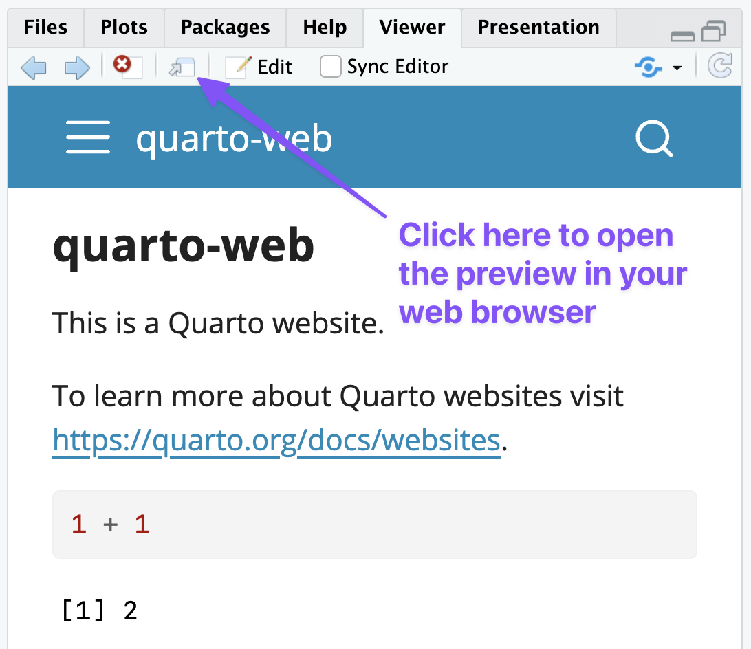 A screen shot of the Viewer panel in RStudio showing a preview of the newly created website. There is a purple arrow pointing to the external viewer button.