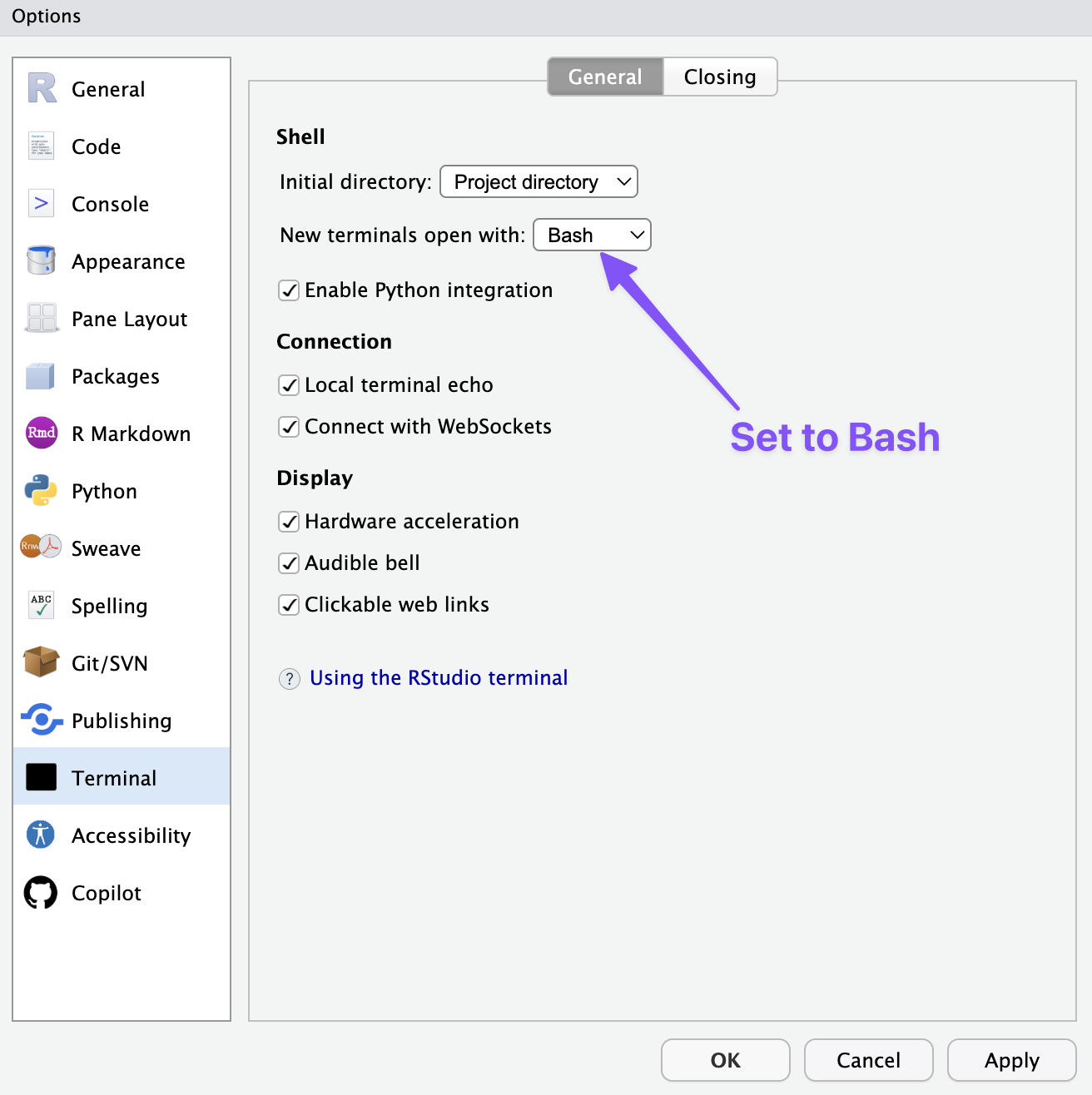 A screen shot of the RStudio settings with a purple arrow pointing to the New terminals open with setting and purple text that says set to Bash.